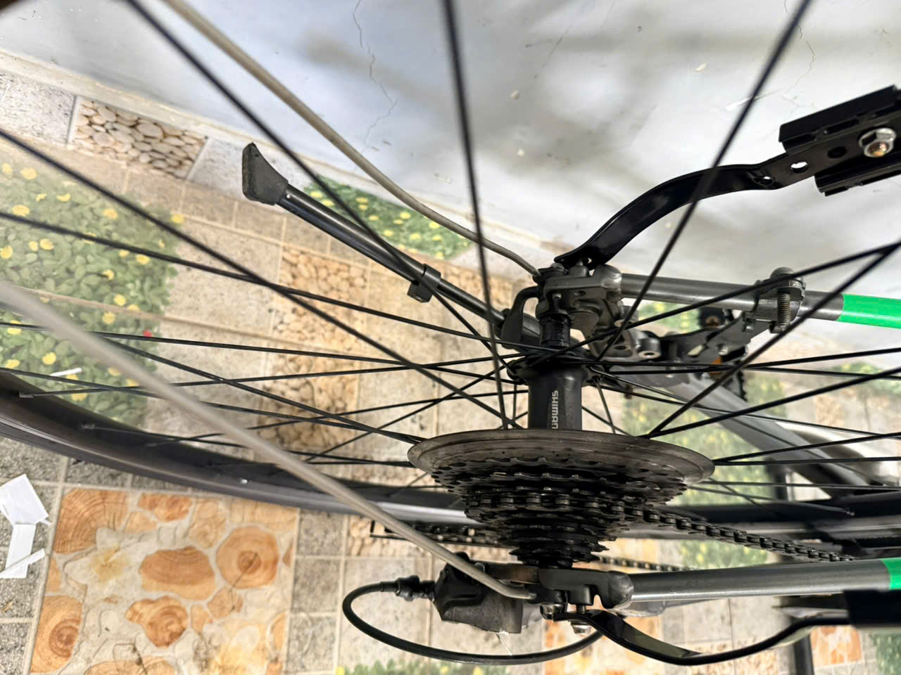 z7327962168170_a75c182c9582e328da82902e7150d481