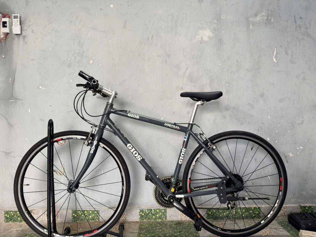 Xe đạp nhật bãi GOIS Ý 