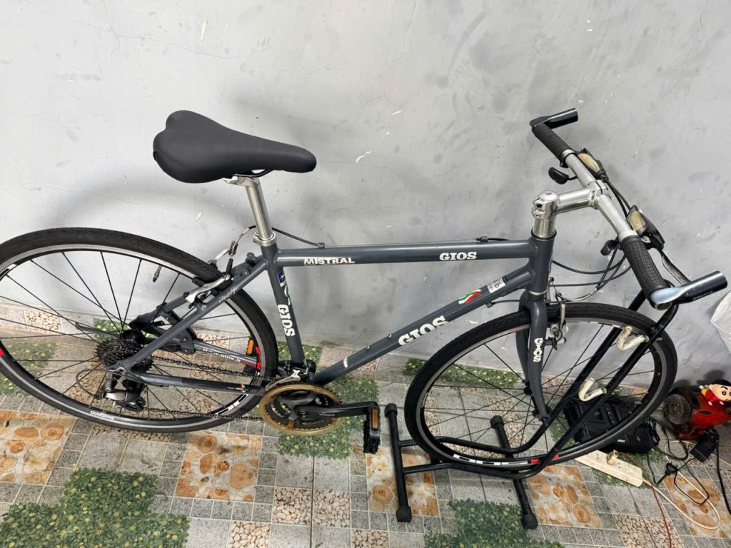 Xe đạp nhật bãi GOIS Ý 