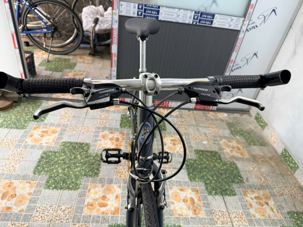 Xe đạp nhật bãi GOIS Ý 