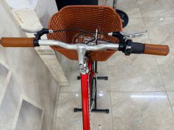 Xe đạp mini California