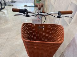 Xe đạp mini California