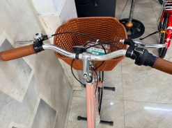 Xe đạp Mini Abraham hàng chính hãng