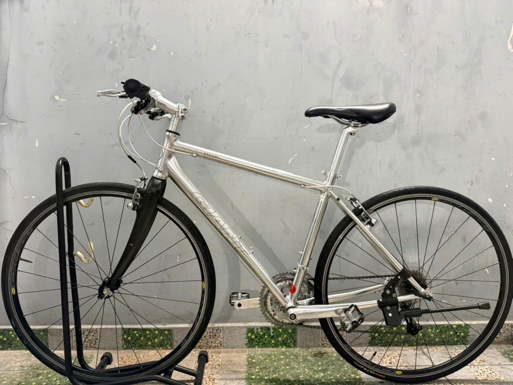 Xe đạp Giant càng cacbon,bạc đạn