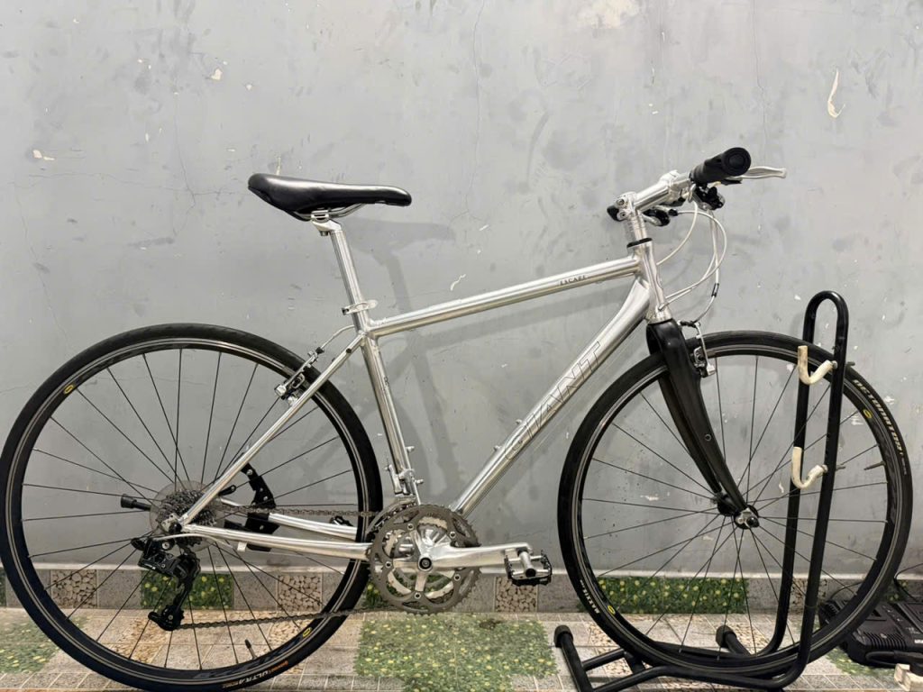 Xe đạp Giant càng cacbon,bạc đạn