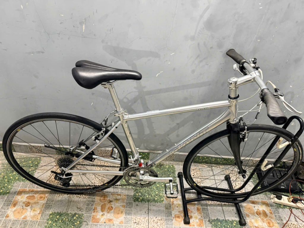 Xe đạp Giant càng cacbon,bạc đạn