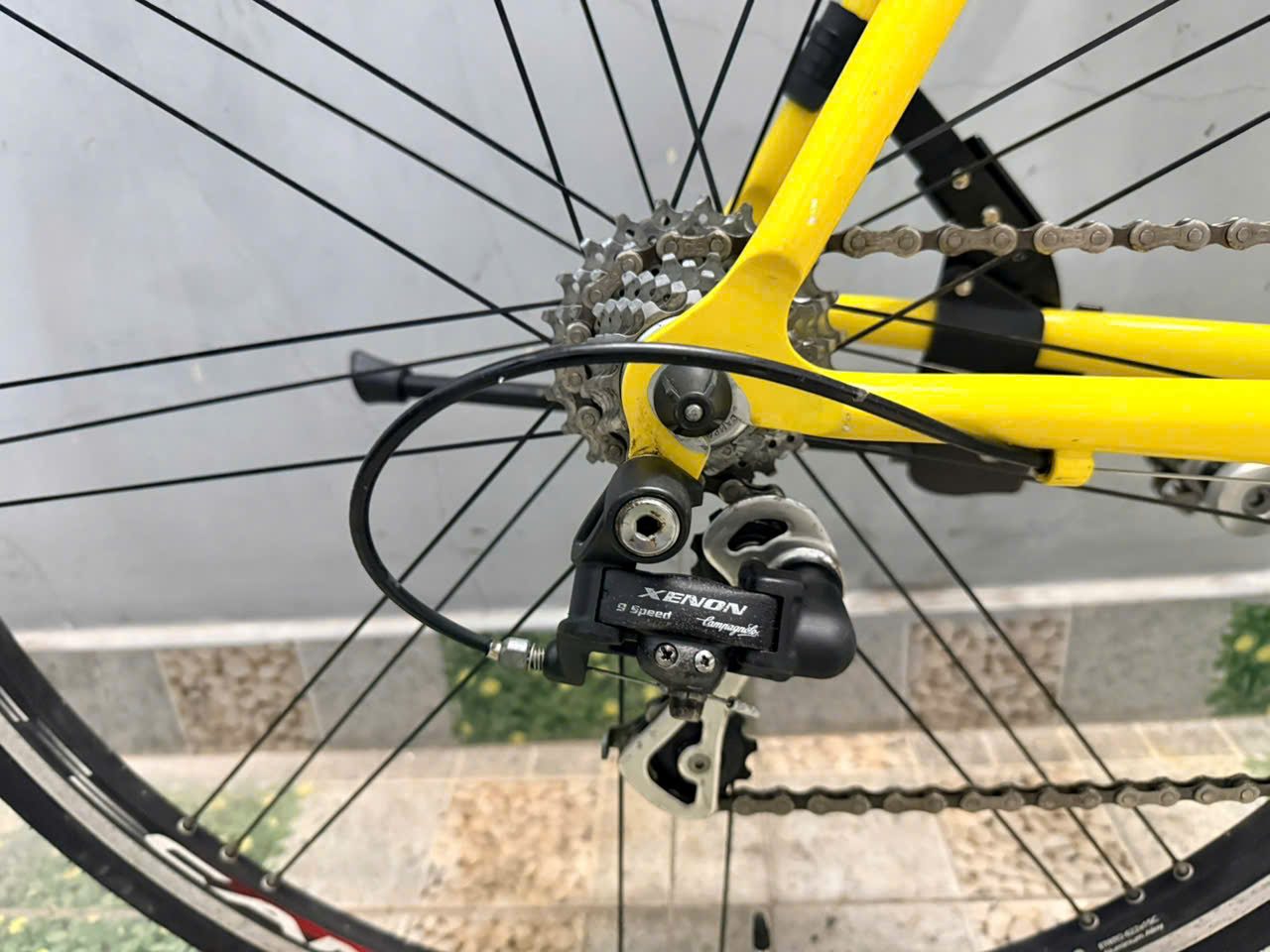 Xe đạp nhật bãi FONDRIEST càng cacbon Xe đạp nhật bãi FONDRIEST càng cacbon