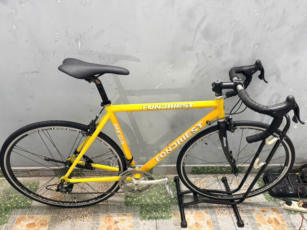 Xe đạp nhật bãi FONDRIEST càng cacbon Xe đạp nhật bãi FONDRIEST càng cacbon