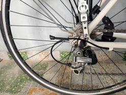 Xe đạp nhật bãi Specialized (Mỹ)