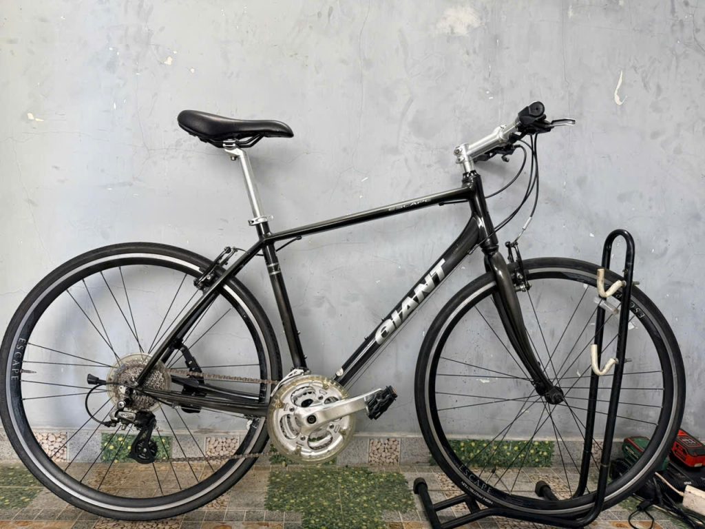Xe đạp nhật bãi Giant r3 escape