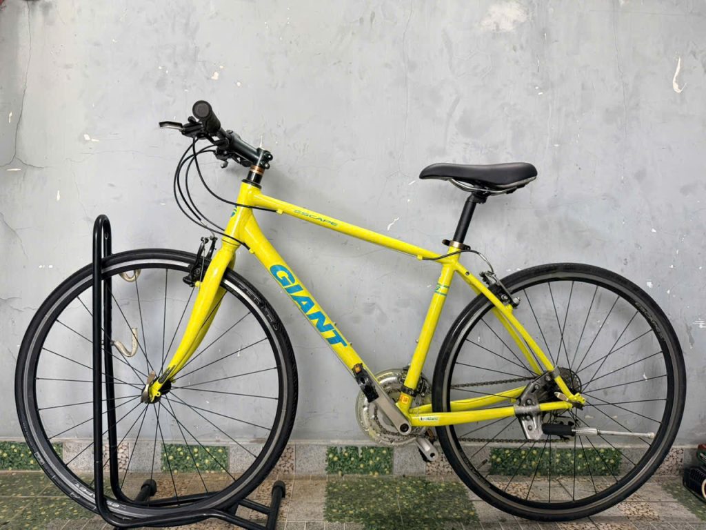 Xe đạp nhật bãi giant r3 escape