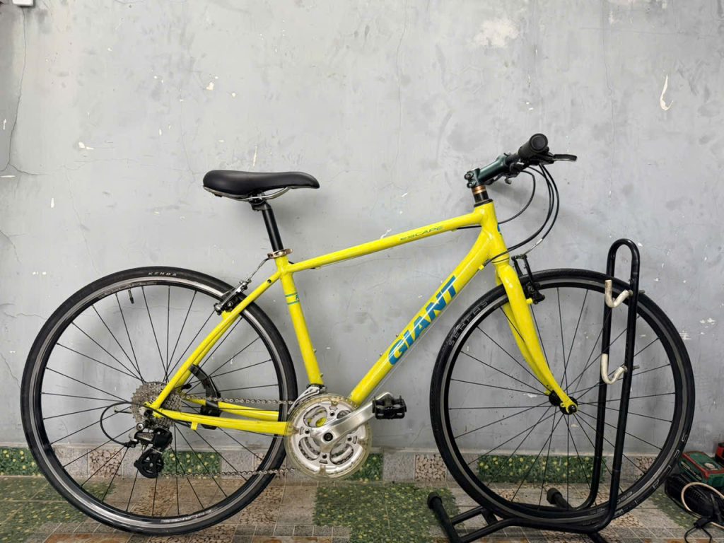 Xe đạp nhật bãi giant r3 escape