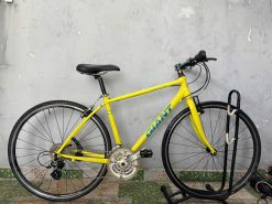 Xe đạp nhật bãi giant r3 escape