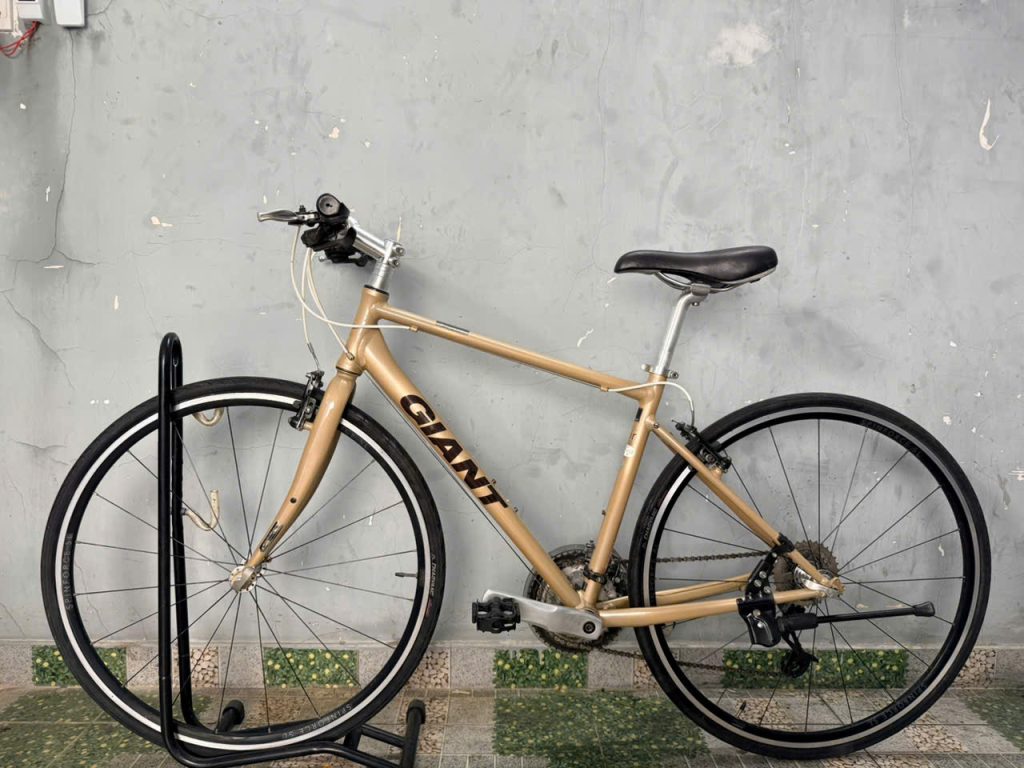 Xe đạp nhật bãi giant r3 escape