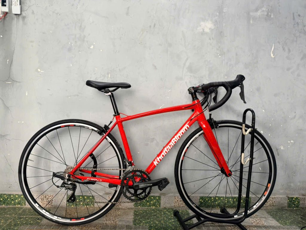 Cách chọn sai xe đạp nhật bãi