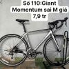 Xe đạp nhật bãi Giant Momentum