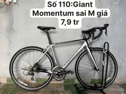 Xe đạp nhật bãi Giant Momentum