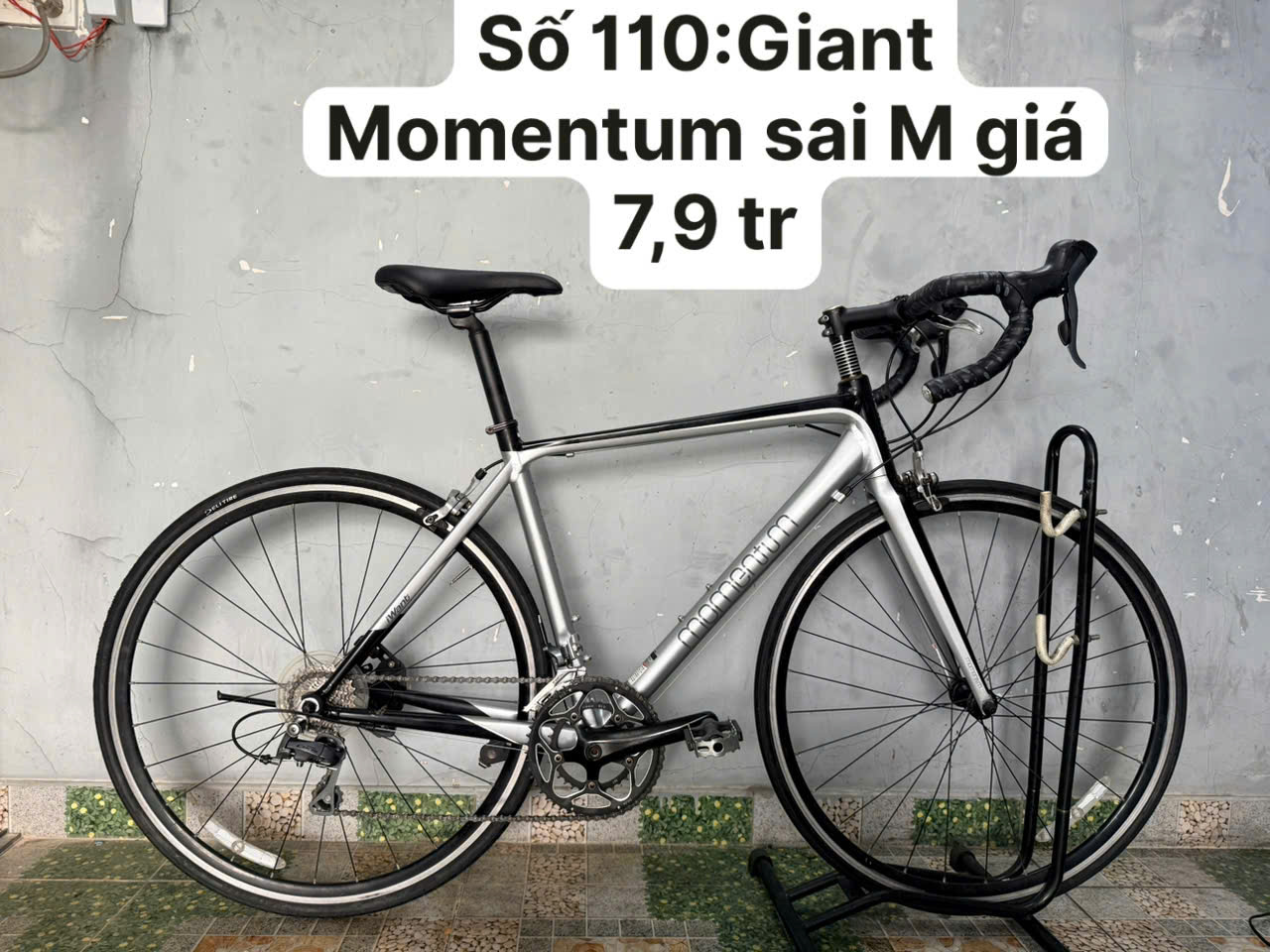 Xe đạp nhật bãi Giant Momentum