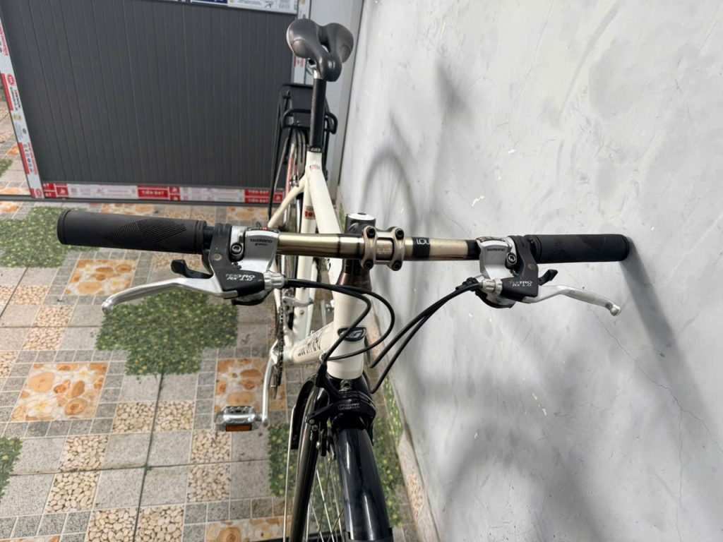 Xe đạp nhật bãi Louis càng carbon