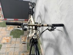 Xe đạp nhật bãi Louis càng carbon