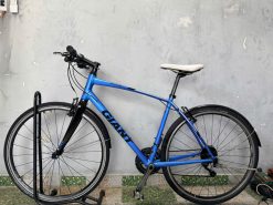 Xe đạp Giant càng carbon trục rỗng