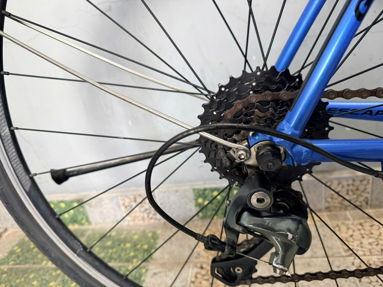 Xe đạp Giant càng carbon trục rỗng Xe đạp Giant càng carbon trục rỗng