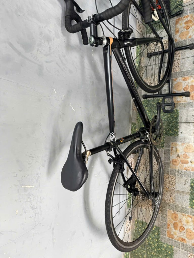 Xe đạp nhật bãi precision tay lắc 