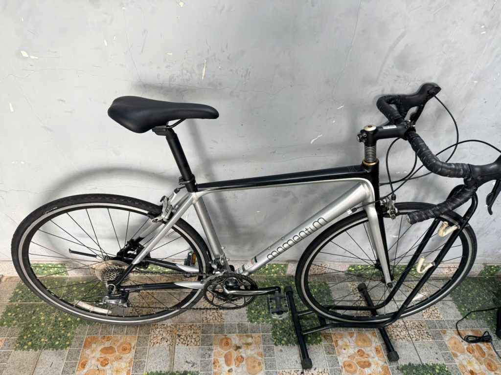 Xe đạp nhật bãi Giant Momentum 