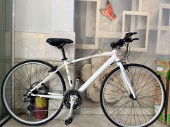 Xe đạp nhật bãi Precision