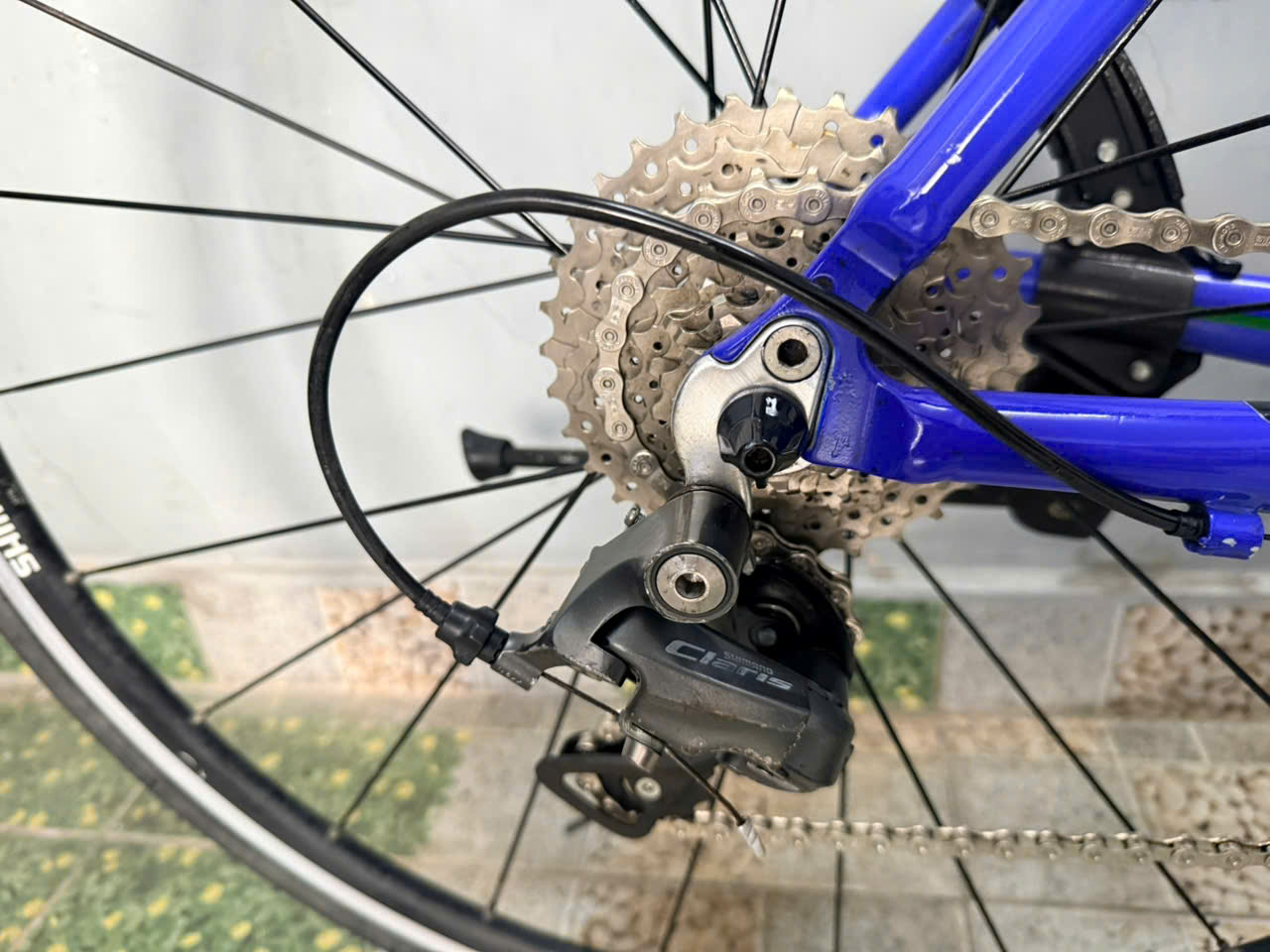 Xe đạp Gios trục rỗng càng carbon Xe đạp Gios trục rỗng càng carbon