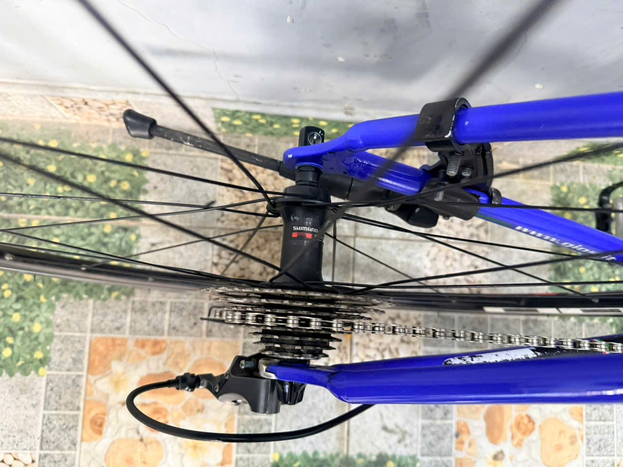 Xe đạp Gios trục rỗng càng carbon Xe đạp Gios trục rỗng càng carbon