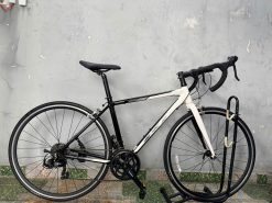 Xe đạp Kagra tay lắc nhật bãi