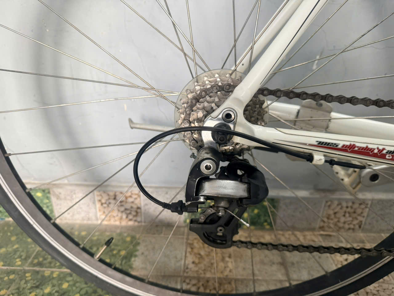 Xe đạp nhật bãi Scott càng carbon Xe đạp nhật bãi Scott càng carbon