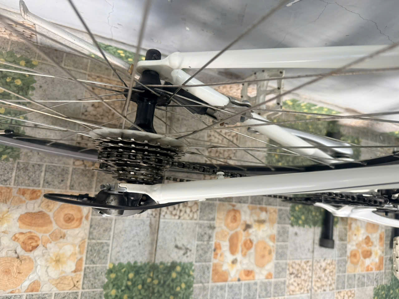 Xe đạp nhật bãi Scott càng carbon Xe đạp nhật bãi Scott càng carbon