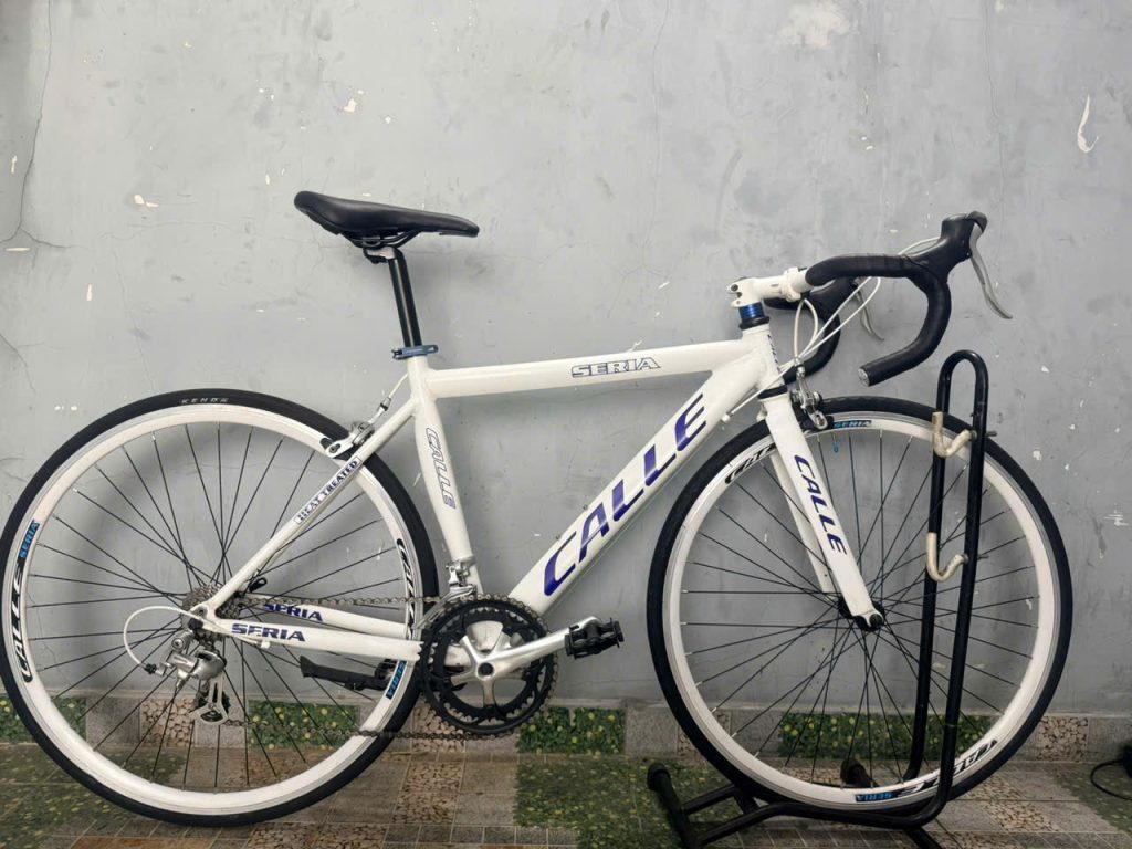 Xe đạp nhật bãi là gì có nên mua không Xe đạp nhật bãi là gì có nên mua không