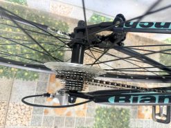 Xe đạp Bianchi Roma 2 nhật bãi