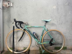 Xe đạp Bianchi càng carbon tay lắc