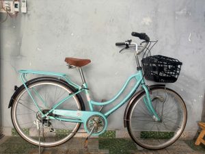 Top 5 xe đạp Mini Nhật bãi đáng mua nhất hiện nay