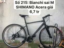 Xe đạp Bianchi dây âm sườn