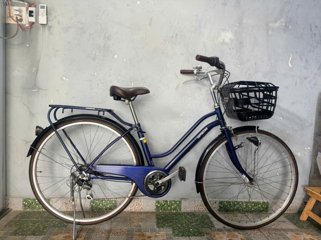 Xe đạp nhật bãi bao nhiêu tiền