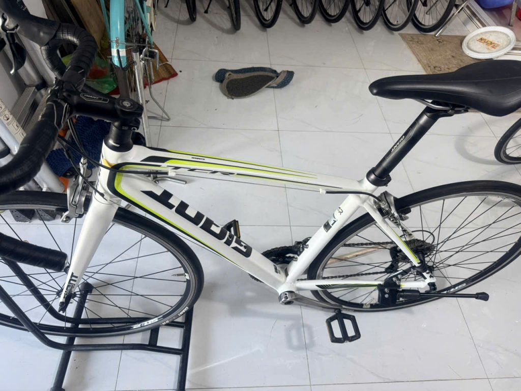 Xe đạp đua Giant TCR càng carbon