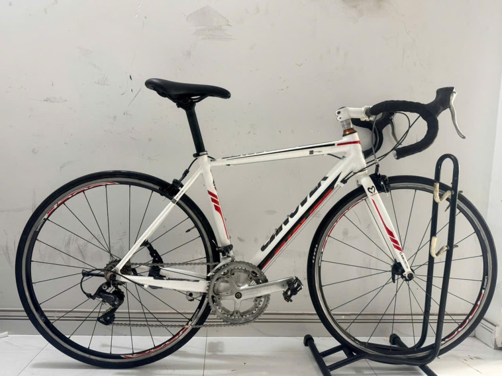 Giá xe đạp thể thao nhật bãi củ