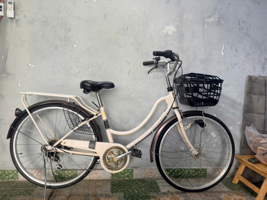 Top 5 xe đạp Mini Nhật bãi đáng mua nhất hiện nay