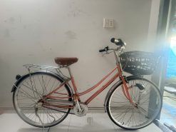 Xe đạp Mini East Boy Nhật bãi