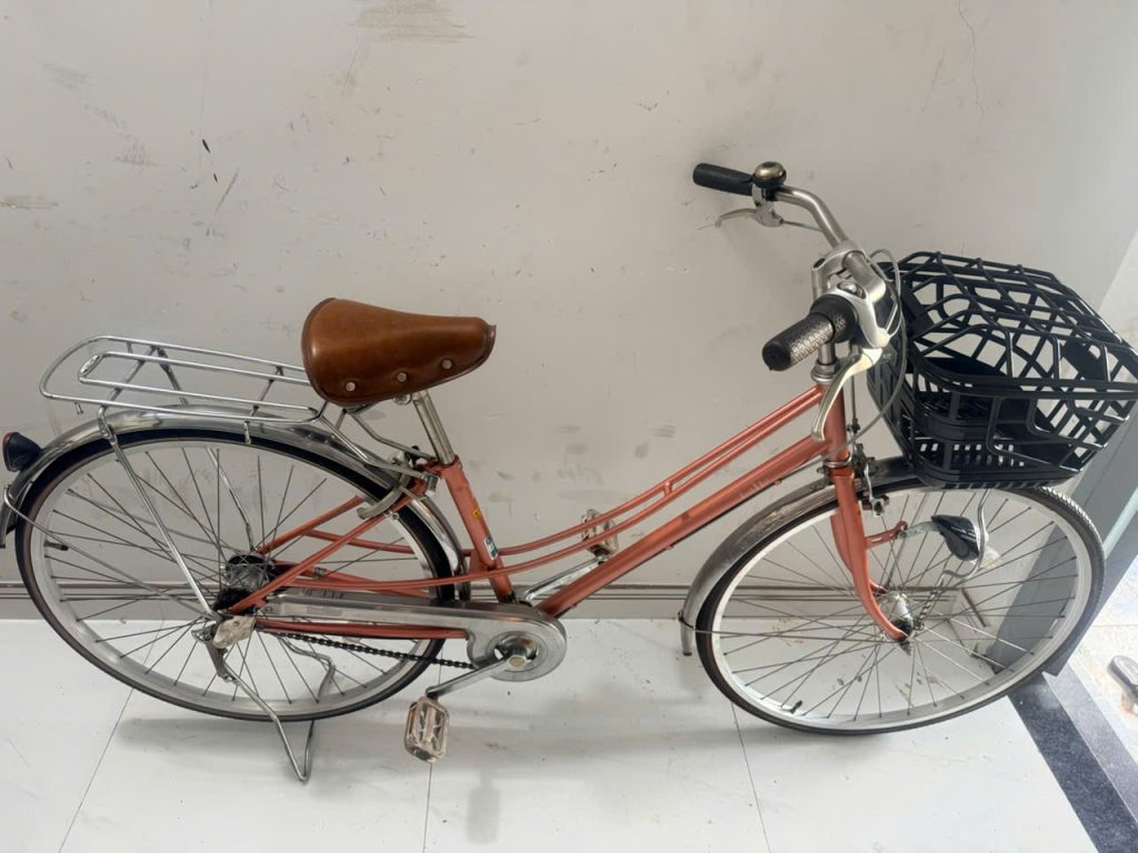 Xe đạp Mini East Boy Nhật bãi