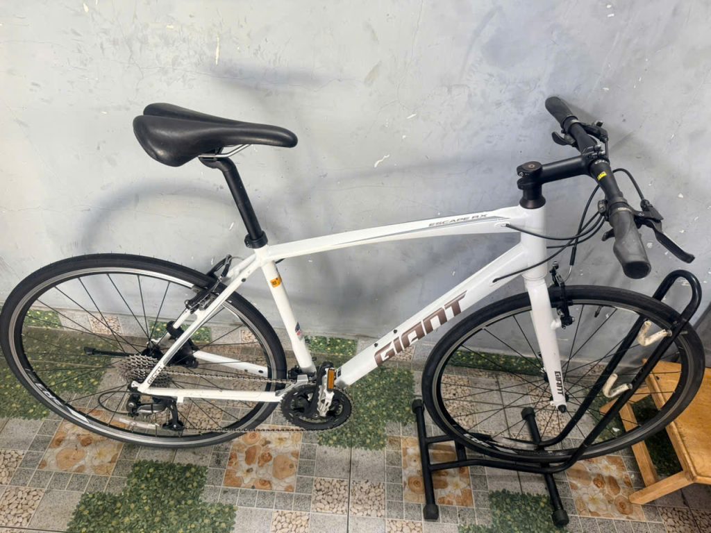 Kho xe đạp nhật bãi giá tốt tại TPHCM