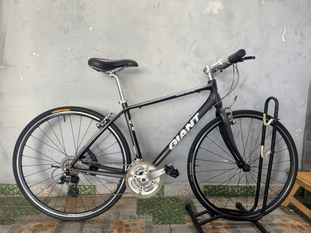 Kho xe đạp nhật bãi giá tốt tại TPHCM