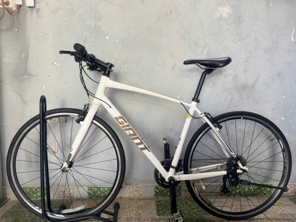 Xe đạp nhật bãi GIANT RX dây âm sườn