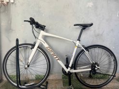 Xe đạp nhật bãi GIANT RX dây âm sườn