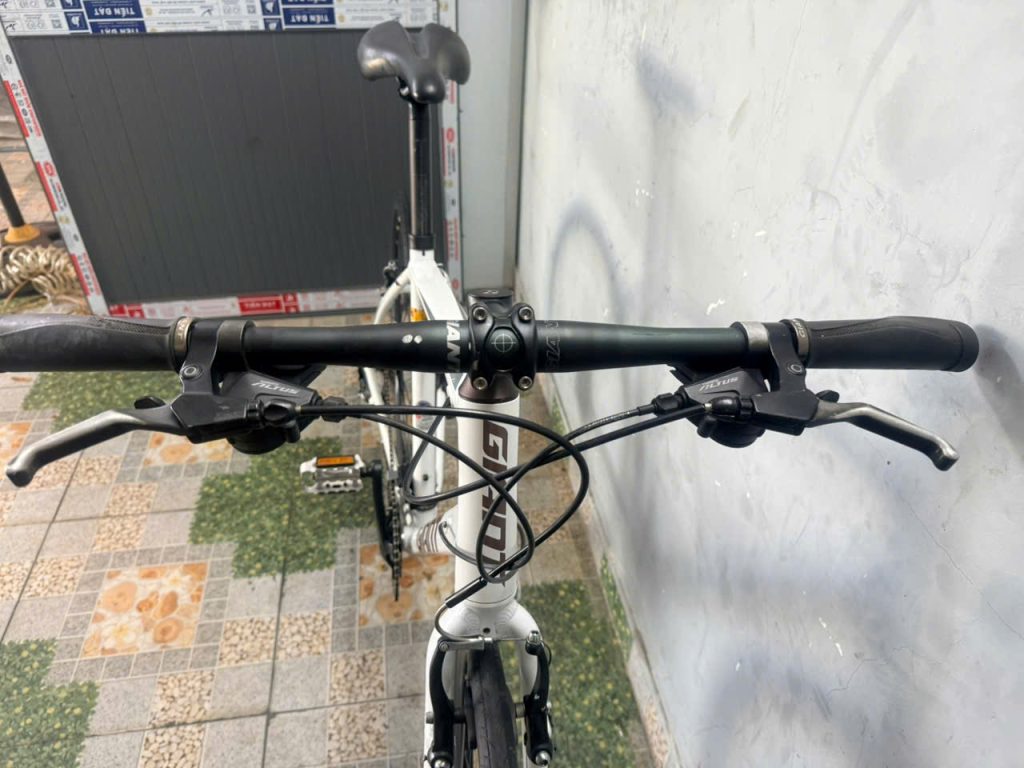 Xe đạp nhật bãi GIANT RX dây âm sườn